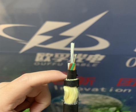 青海省欧孚24芯adss光缆全介质自承光缆多少钱