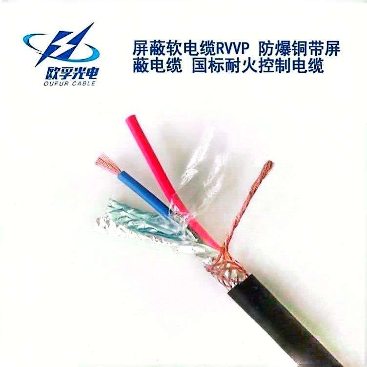 海北藏族自治州​RVVP控制电缆